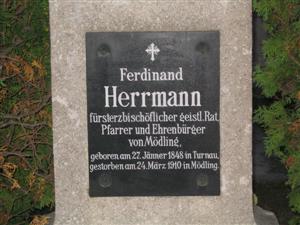 Ferdinand Herrmann (1848-1910)