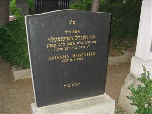 Israelitischer Friedhof in Mödling