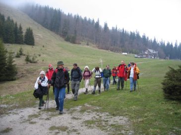 Beginn Abstieg vom Unterberg - Fuwallfahrt nach Mariazell 2008  Pfarre St. Othmar in Mdling