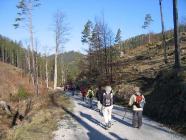 Abstieg vom Krumbachsattel in die Walster - Fuwallfahrt nach Mariazell 2008  Pfarre St. Othmar in Mdling