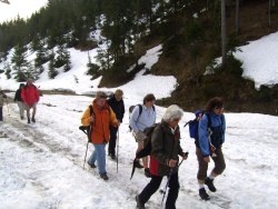 noch immer Schnee nach dem Krumbachsattel  <> Fusswallfahrt nach Mariazell 2009  Pfarre St. Othmar in Mdling
